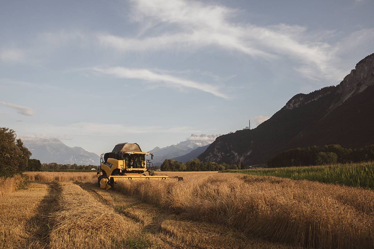 Tradition trifft Innovation – im Gespräch mit GMSA