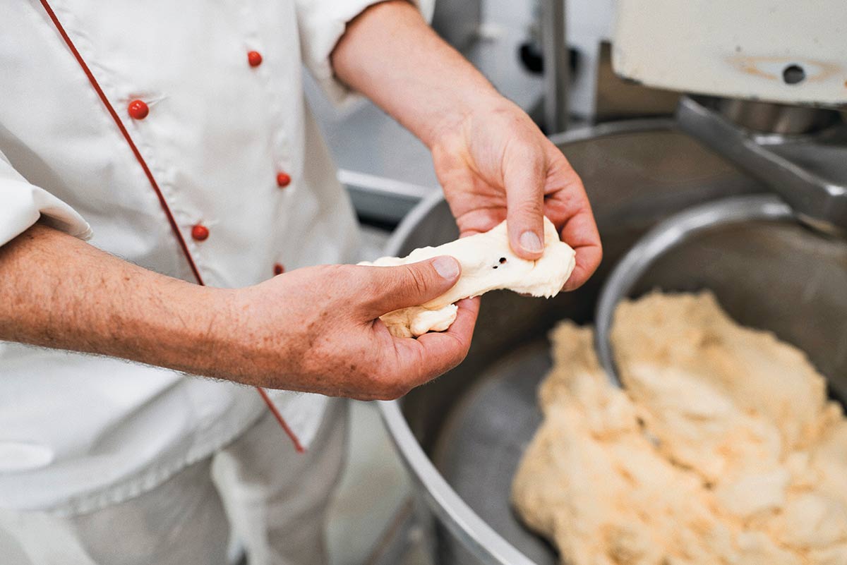 « Wusstest du schon …? » – Fuchs-Fakten zum Staunen